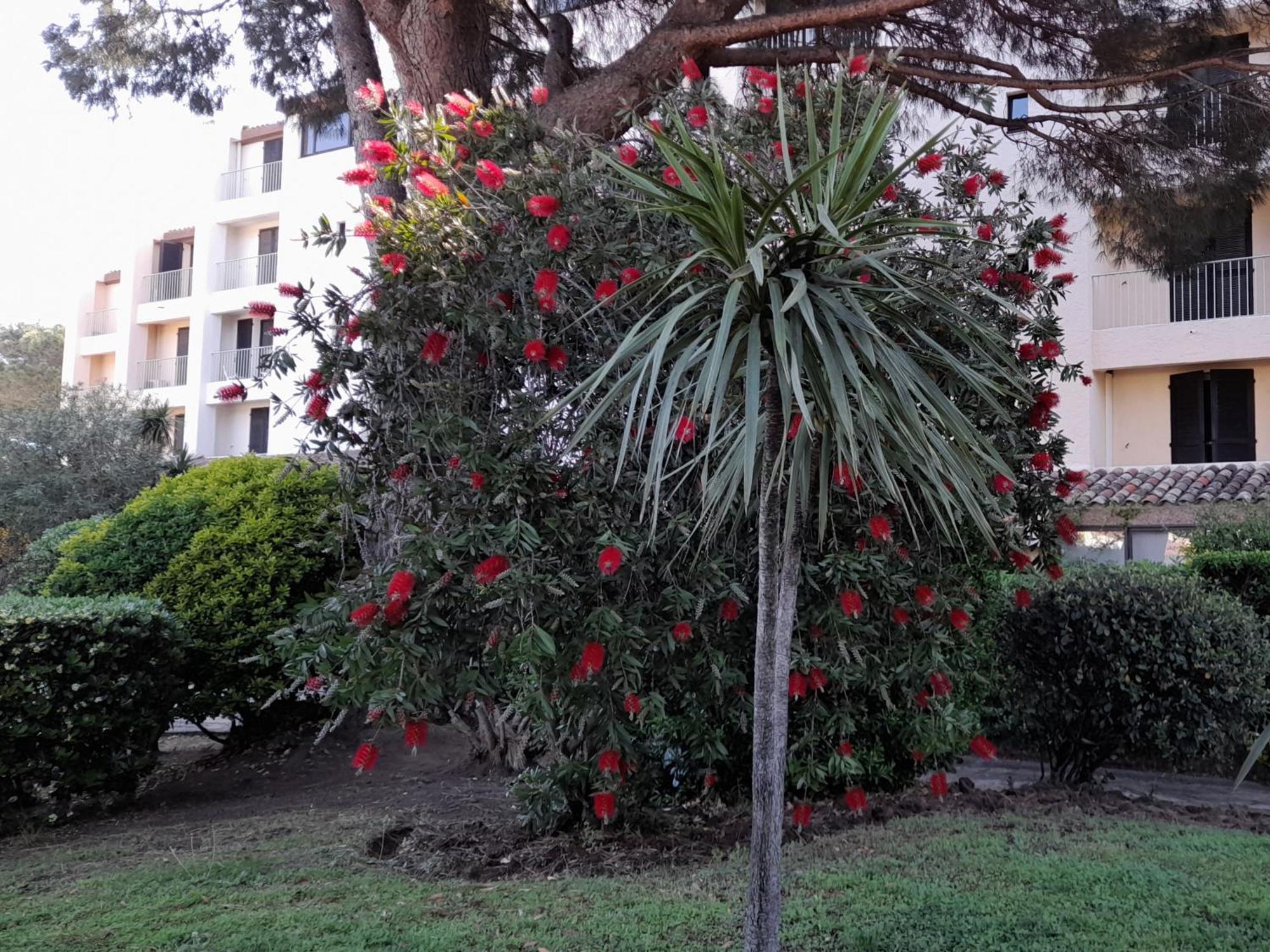 Marina Bella Apartman Cogolin Kültér fotó